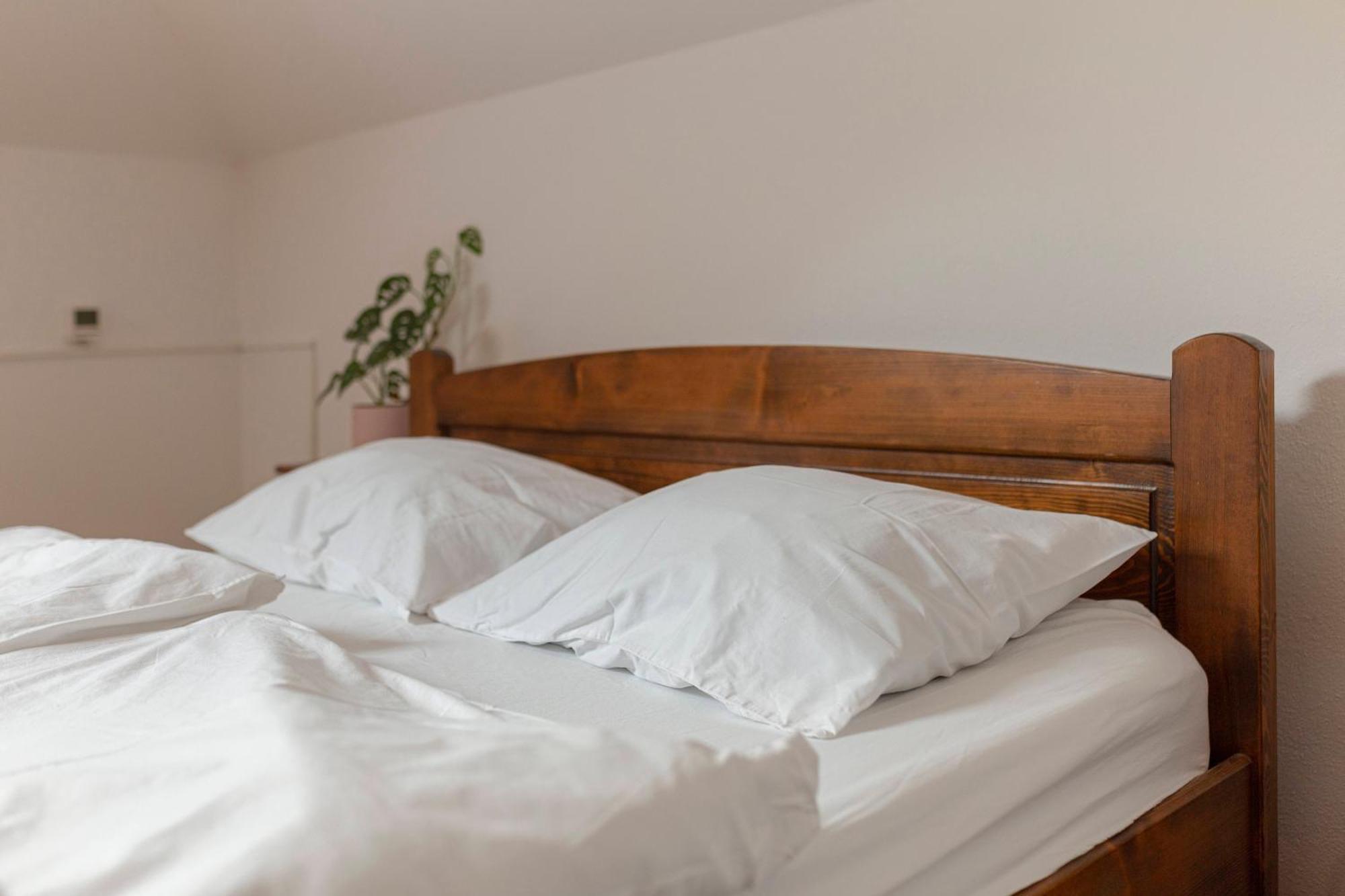 Bed And Breakfast Mili Vrh カムニーク エクステリア 写真